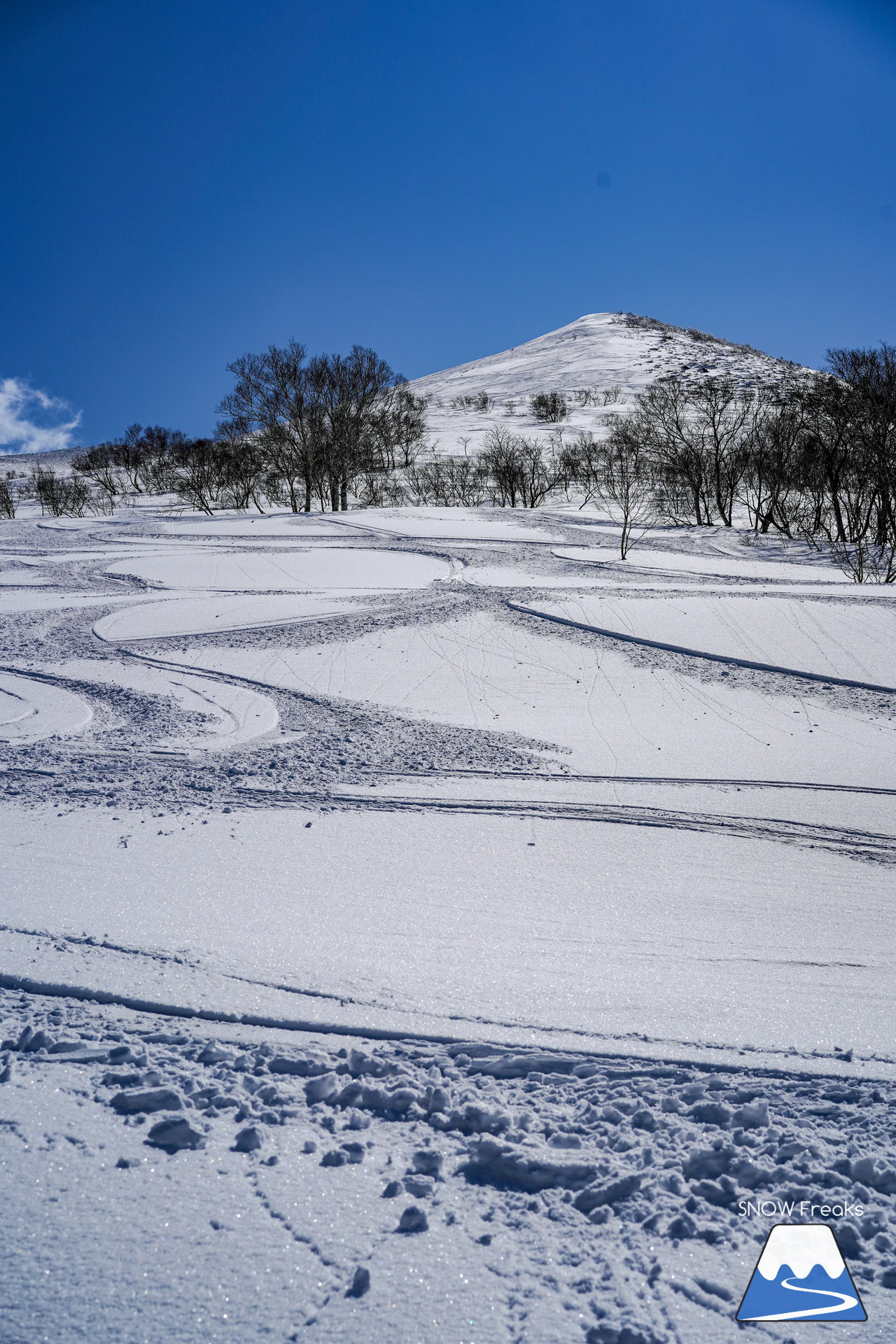 ニセコグラン・ヒラフ　もうすぐ4月。森林限界を超えると…、そこには『粉雪』が待っていました♪